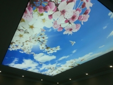 Barisol gergi tavan  modelleri