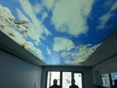 Barisol gergi tavan  modelleri