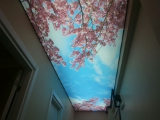 Barisol gergi tavan  modelleri