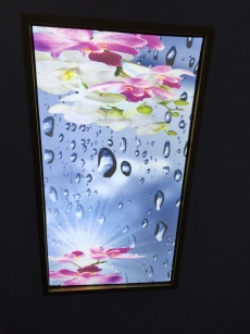 Barisol gergi tavan  modelleri