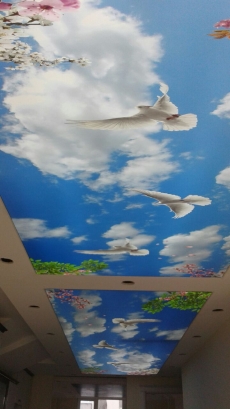 Barisol gergi tavan  modelleri