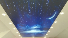 Gergi Tavan Tamir ve Temizliği İstanbul