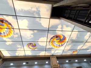 Barisol gergi tavan  modelleri