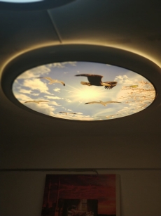 Barisol gergi tavan  modelleri