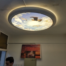 Barisol gergi tavan  modelleri