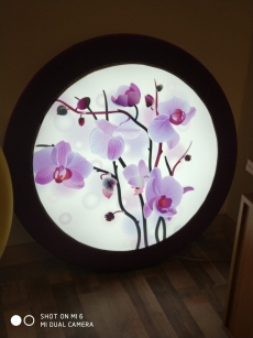 Barisol gergi tavan  modelleri