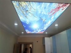 Barisol gergi tavan  modelleri