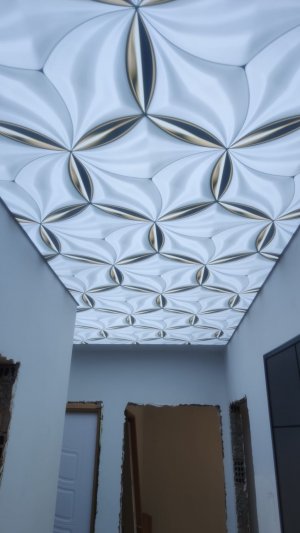 Barisol gergi tavan  modelleri