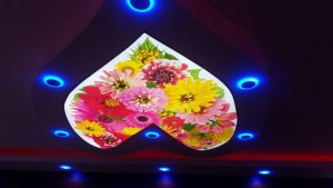 Barisol gergi tavan  modelleri