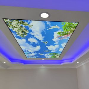 Barisol gergi tavan  modelleri