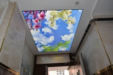 Barisol gergi tavan  modelleri