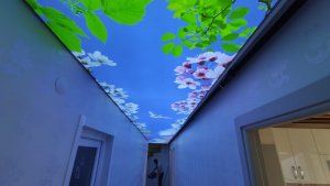 Barisol gergi tavan  modelleri