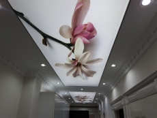 Barisol gergi tavan  modelleri