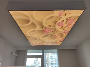 Barisol gergi tavan  modelleri