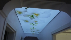 Gergi Tavan Model Fiyat Tavsiyeleri