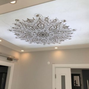 Transparan gergi tavan  modelleri