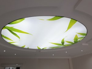 Transparan gergi tavan  modelleri