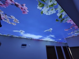 Barisol gergi tavan  modelleri