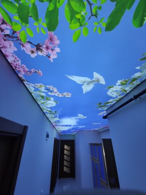 Büyükçekmecede Gökyüzü Panel Gergi Tavan