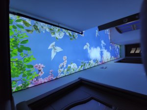 Barisol gergi tavan  modelleri