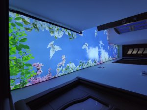 Barisol gergi tavan  modelleri