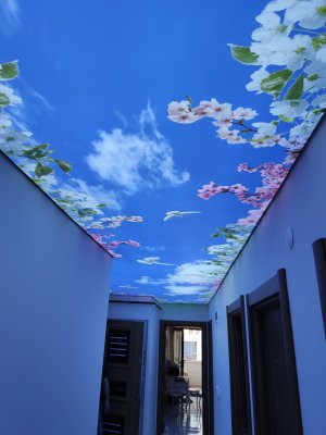 Barisol gergi tavan  modelleri