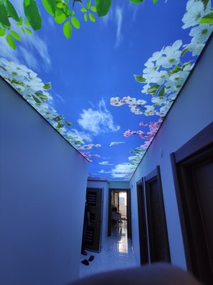 Barisol gergi tavan  modelleri