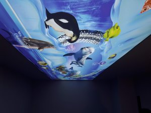 Barisol gergi tavan  modelleri