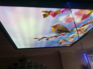 Barisol gergi tavan  modelleri