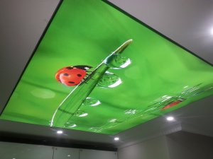 Barisol gergi tavan  modelleri