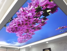 Düzce Gergi Tavan Toptan Fiyatları