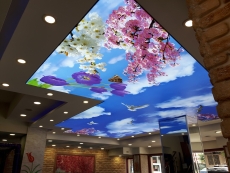 Barisol gergi tavan  modelleri