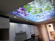 Barisol gergi tavan  modelleri