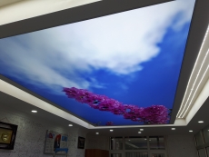 Barisol gergi tavan  modelleri