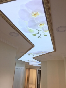 Şeffaf Çiçek Desenli Gergi Tavan Beylikdüzü