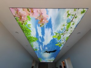 Barisol gergi tavan  modelleri