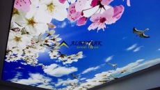 Barisol gergi tavan  modelleri