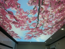 Barisol gergi tavan  modelleri