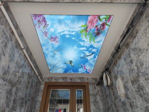 Barisol gergi tavan  modelleri