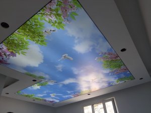 Gökyüzü Gergi Tavan modelleri