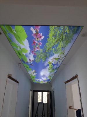 Gökyüzü Gergi Tavan modelleri