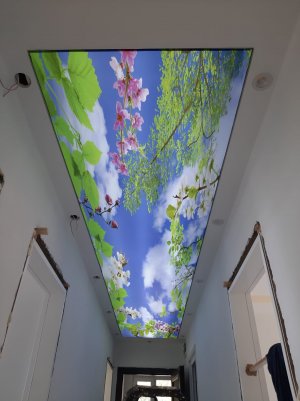 Gökyüzü Gergi Tavan modelleri