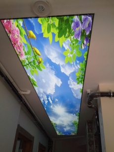 Barisol gergi tavan  modelleri