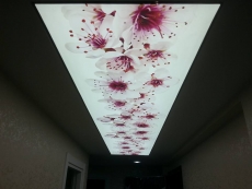 Barisol gergi tavan  modelleri