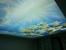 Gökyüzü Gergi Tavan modelleri