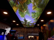 3D Efektli Gergi Tavan Gergi Duvar