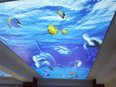 Barisol gergi tavan  modelleri