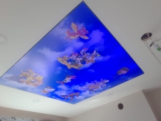 Barisol gergi tavan  modelleri