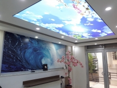 Barisol gergi tavan  modelleri