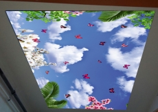 Barisol gergi tavan  modelleri